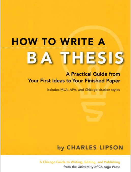 Read more about the article BA Thesis