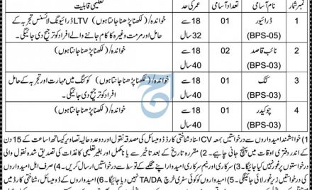 Jobs in Kohat