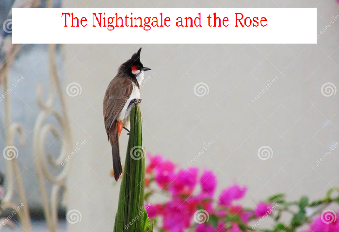 #analysis of The Nightingale and the Rose 