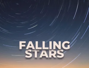 Read more about the article Song: Go and catch a falling star